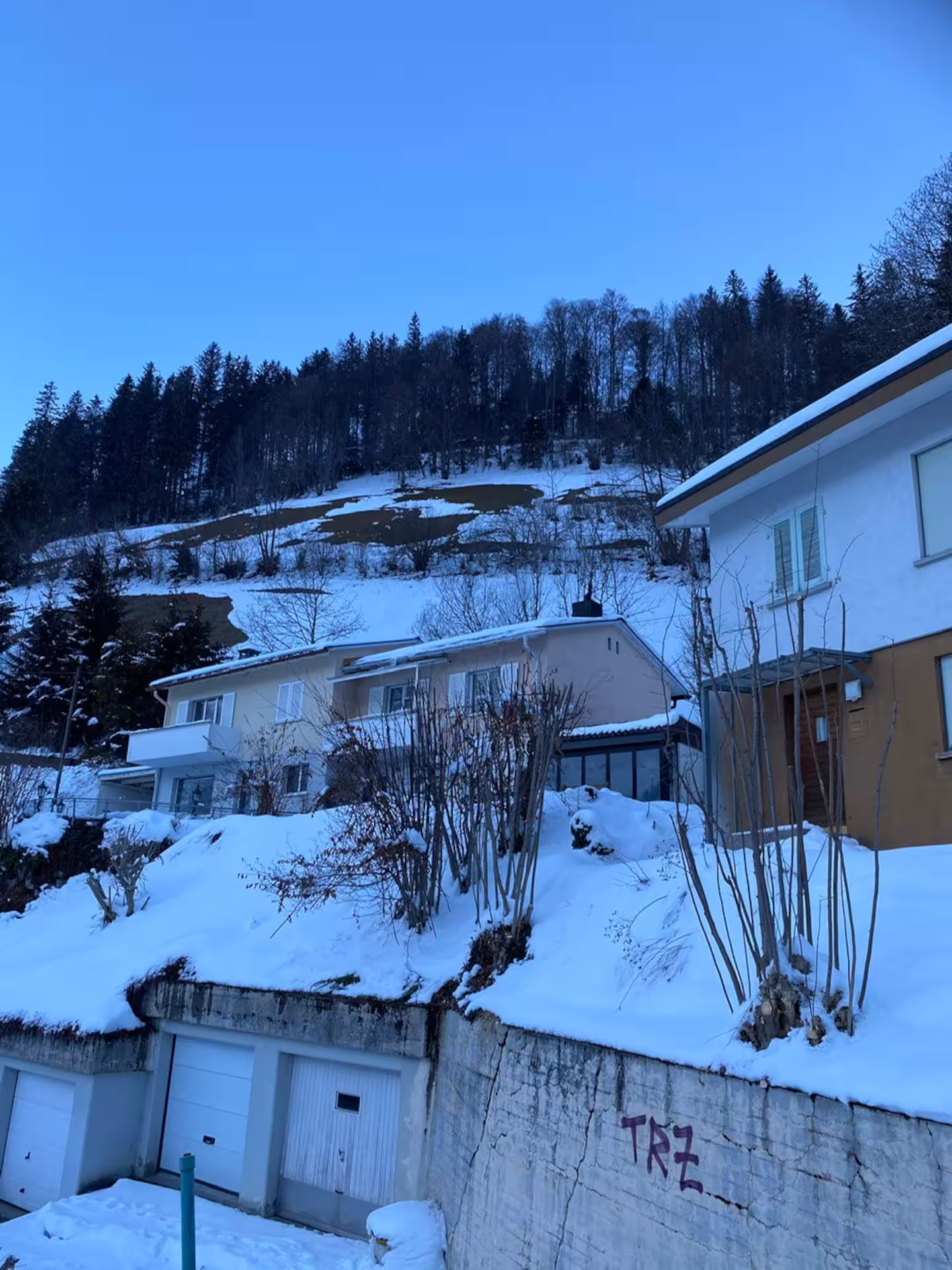 Südansicht vom Eichhörnli Chalet in Engelberg