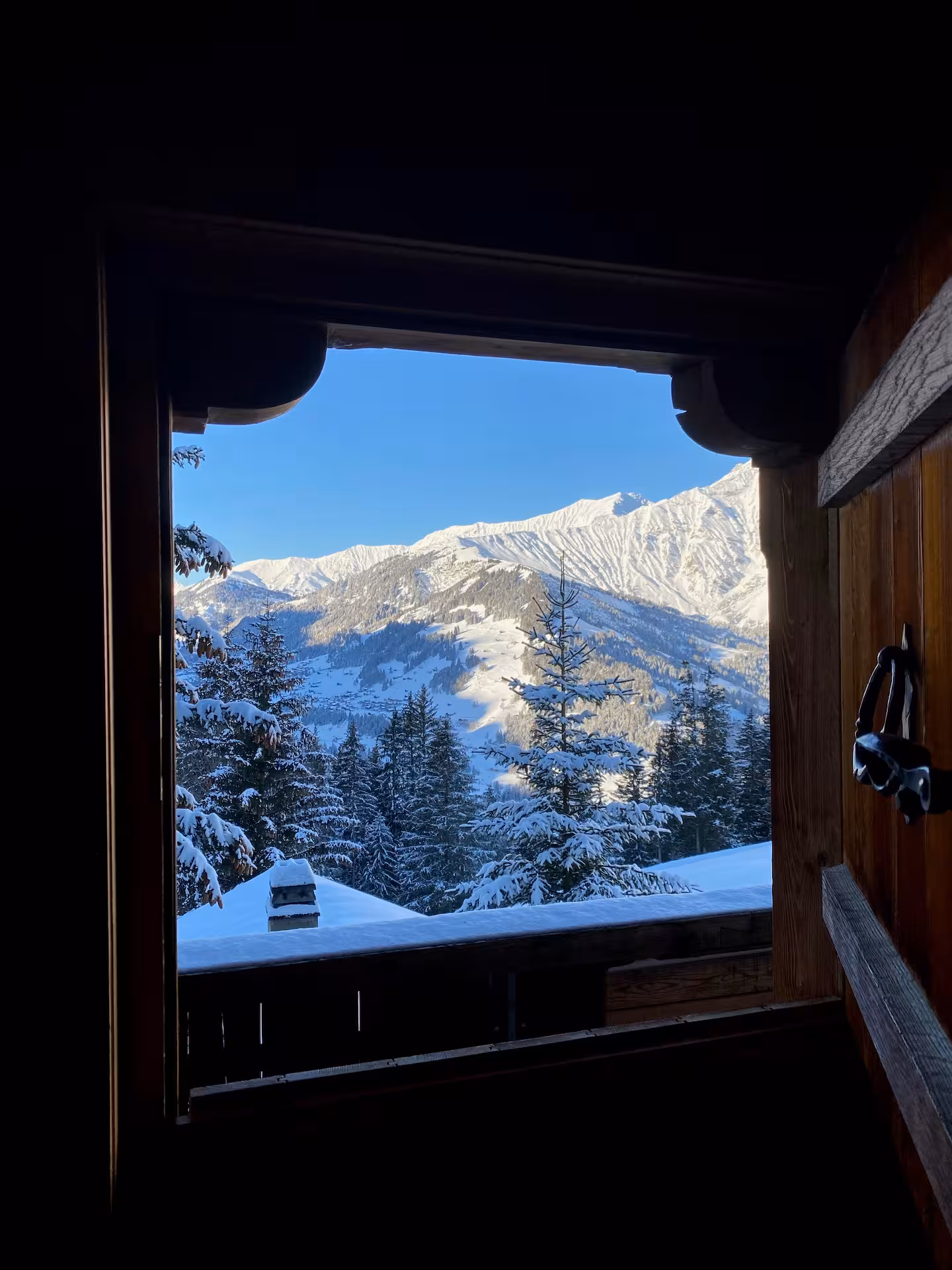 Aussicht aus der Küche Richtung Chuenisbärgli