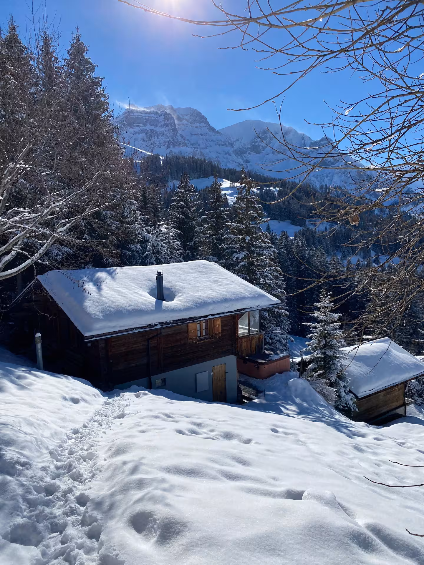Höchst Chalet