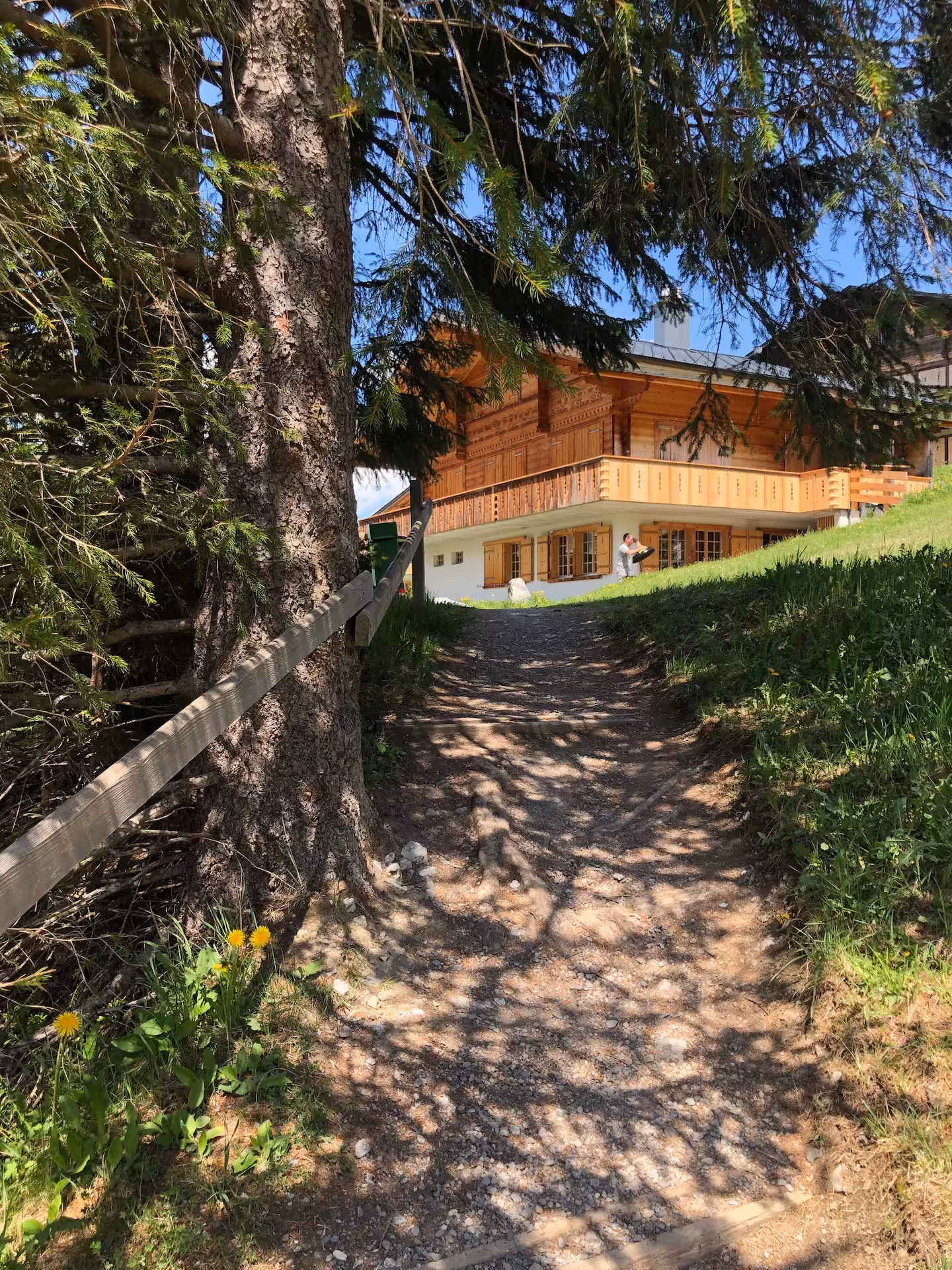 Weg zum Höchst Chalet